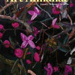 Art Almanac 0102月2021年澳大利亚艺术设计杂志PDF电子版下载