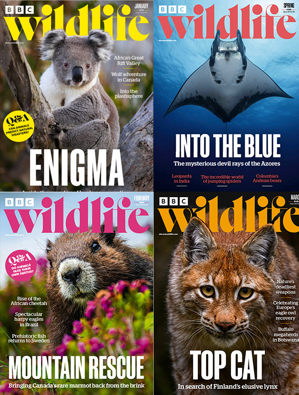 《BBC wildlife》2026年合集1-12月英国野生自然类杂志PDF下载