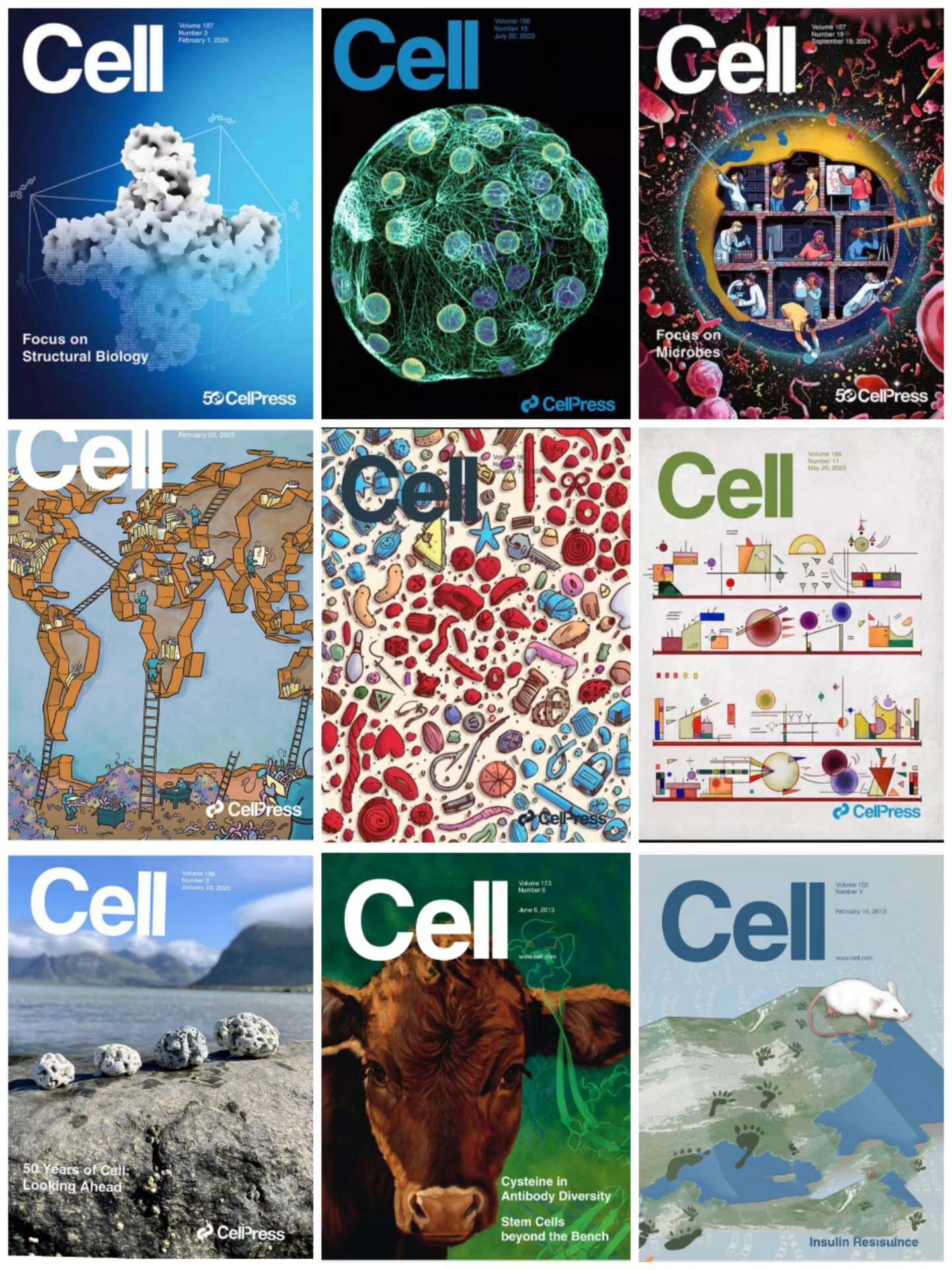 《cell 》细胞期刊2012-2026年合集生物学期刊PDF下载