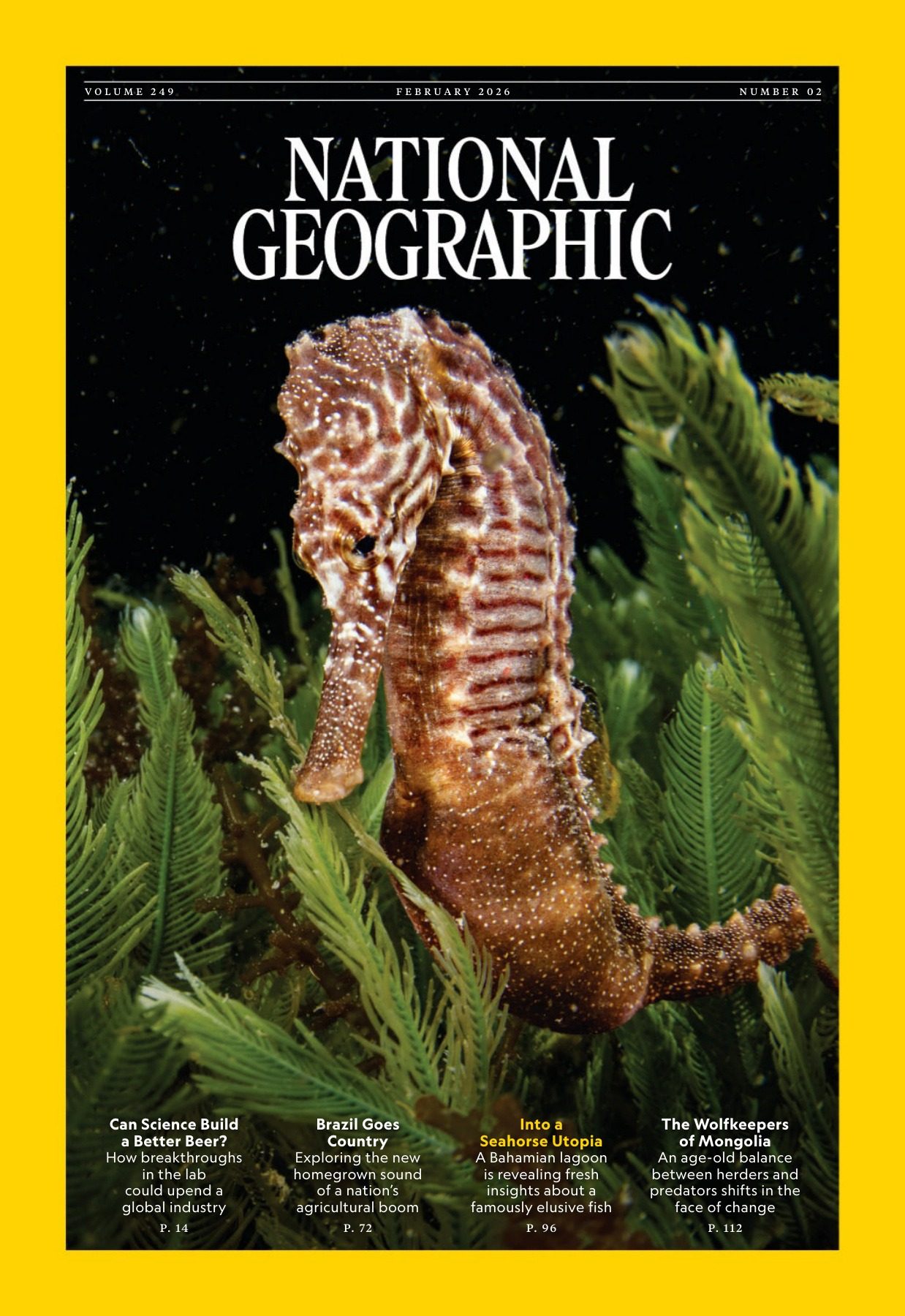 National Geographic 2026年2月刊 美国国家地理杂志 PDF高清