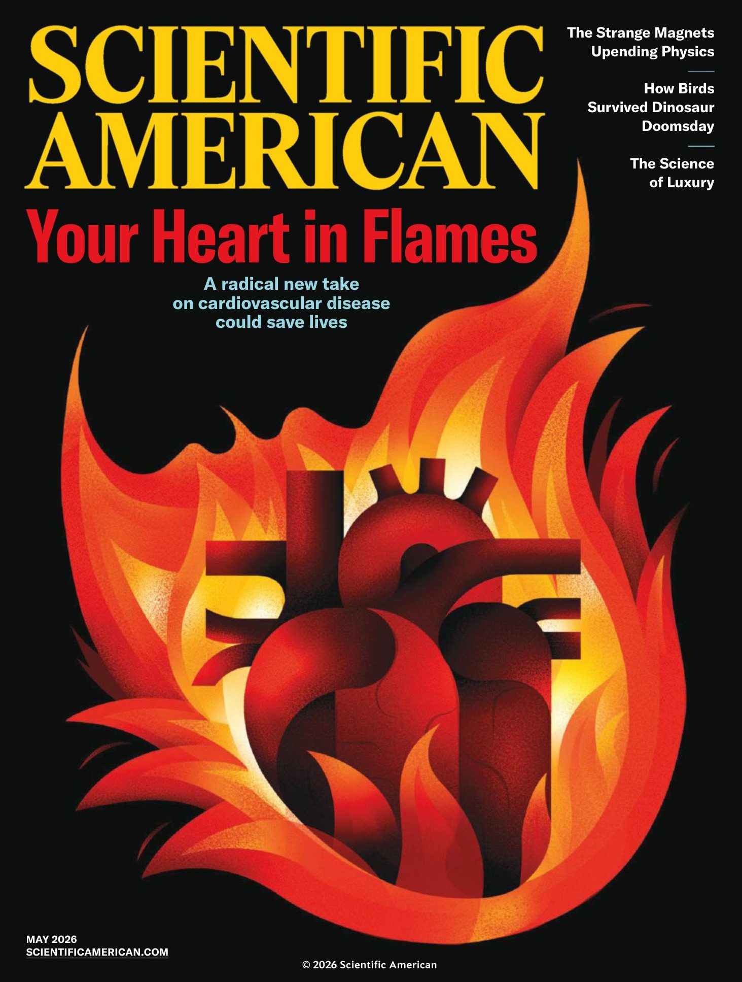 Scientific American 2026年5月刊 科普杂志 PDF高清
